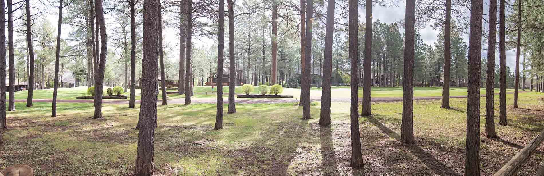 Pinetop-Lakeside area